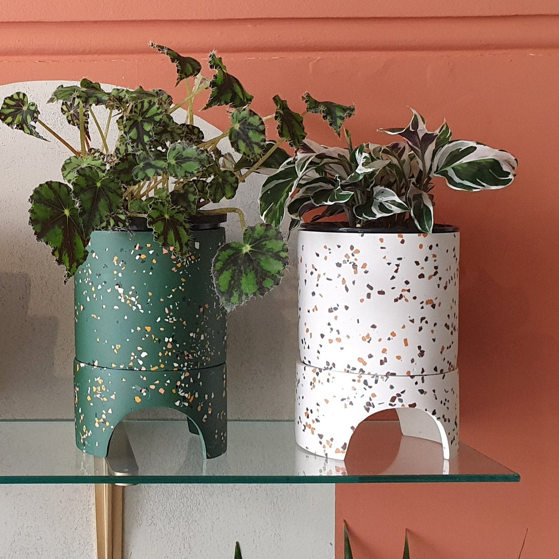 Archie Pots - Agave Terrazzo