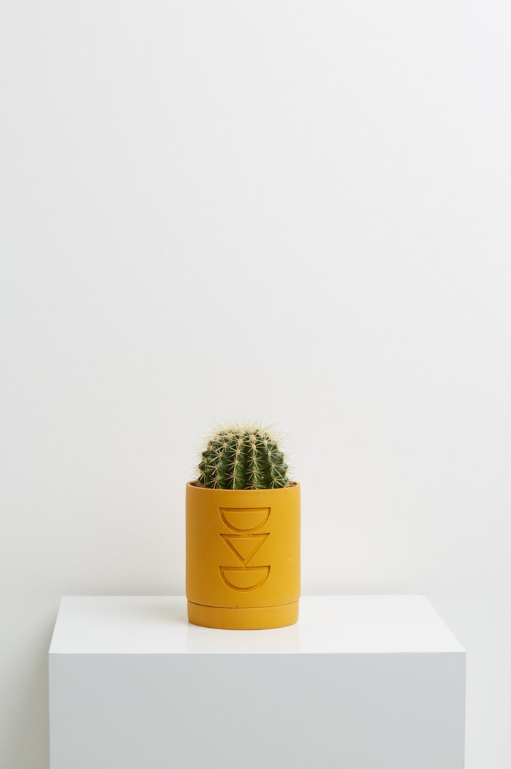 Etch Pot - Golden